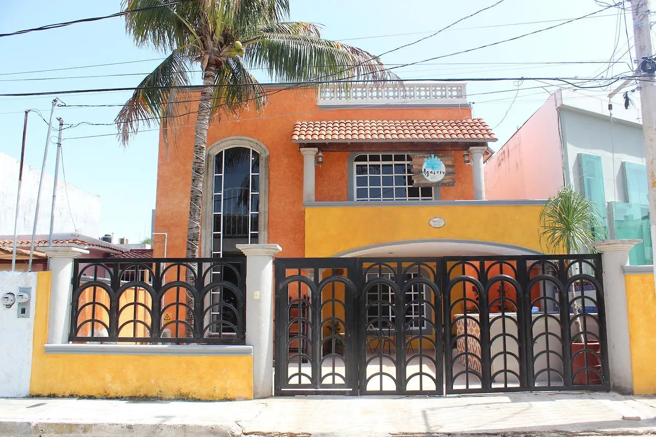 Agavero Hostel Cancún Mexico