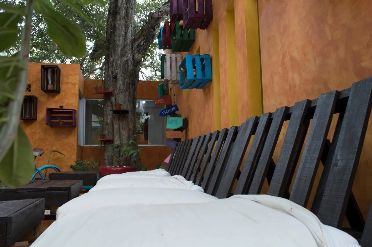 Agavero Hostel Cancún