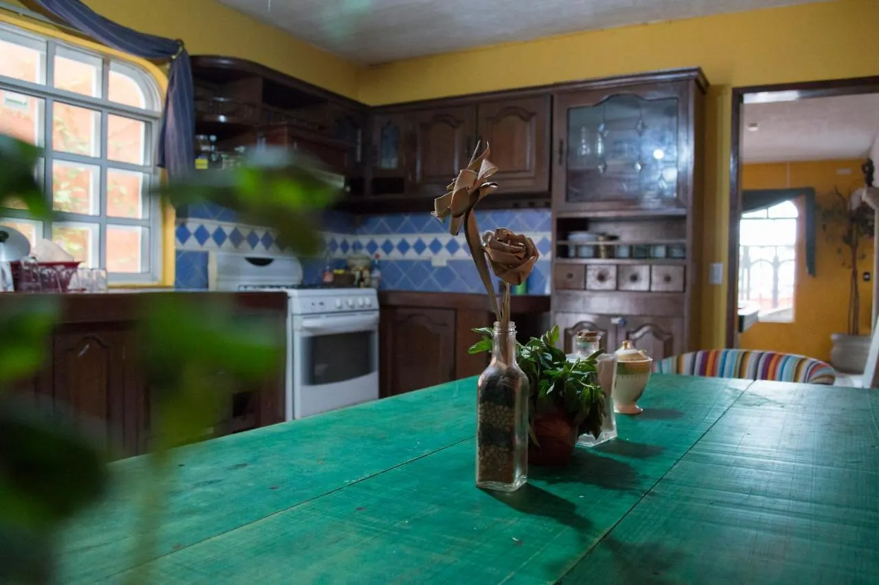 Agavero Hostel Cancún